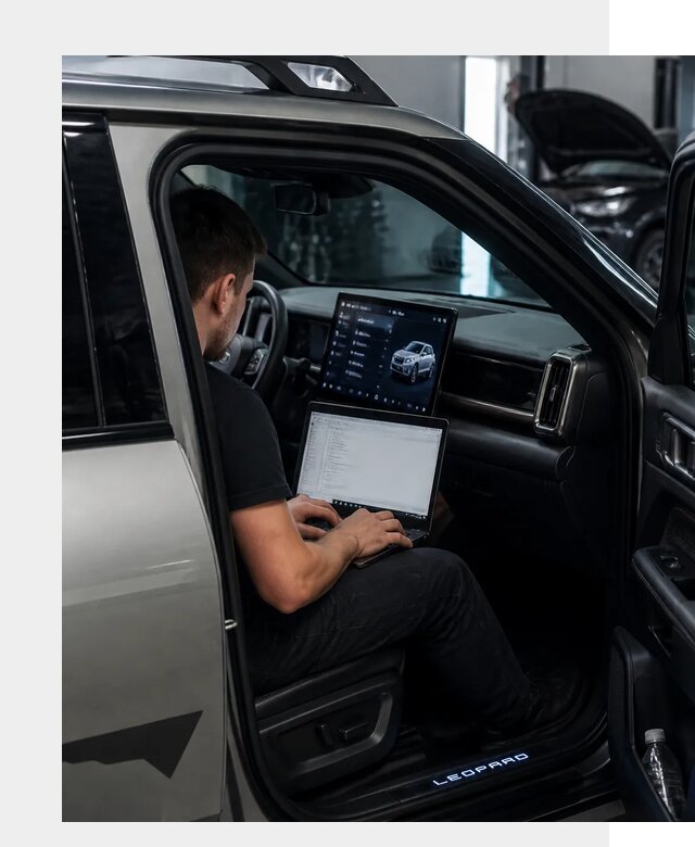 Русификация BYD Leopard 3 в Соколе по цене от 20734 р. | ФастМобиль-Скл