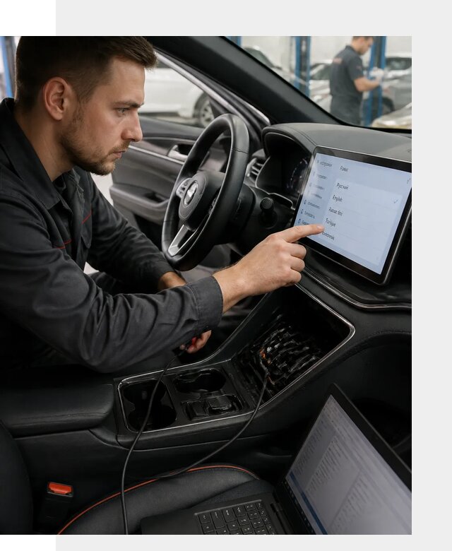 Профессиональная русификация BYD SONG Plus в Соколе